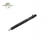 Common Rail Fuel Injector EJBR04501D A6640170121 for Delphi Engine