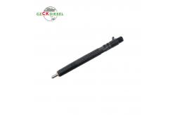 China Common Rail Fuel Injector EJBR04501D A6640170121 for Delphi Engine supplier