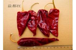 China Culinary Yidu Chili Red Pepper Crushed Powder 8-15 Cm With / Without Stem supplier