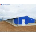 Prefabricated Steel Poultry Shed with Automatic Feeding and Drinking Systems for sale
