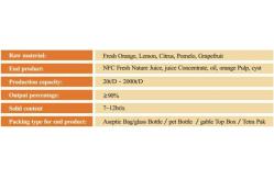 China Fruit Processing Plant Fruit Processing Machinery , Orange /  Lemon Processing Plant supplier
