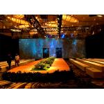 3D Hologram Projection Net Screen for Live Events Holographic Projector for sale
