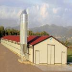 Modern Long Span Steel Construction Building High Capacity Prefabricated Poultry House