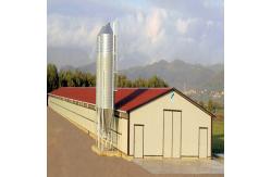 China Modern Long Span Steel Construction Building High Capacity Prefabricated Poultry House supplier
