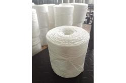 China 6500ft 1 Ply Poly Twine For Bundling Cardboard supplier