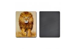 China Big Size 3d Lenticular Magnet / 3d Personalised Fridge Magnets Eco Friendly supplier