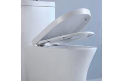 China MAP1000 Chair Height One Piece Skirted Toilets With Concealed Trapways Siphon supplier