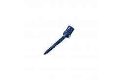 China Internal Fixation Spinal Screws Implants U-Multi-Axial Break Off Customize supplier