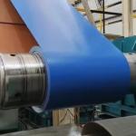 Decoration Prepainted Galvanized Steel 0.12mm Thickness for sale
