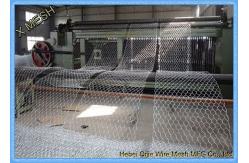 China Hot Dipped Galvanized Hexagonal Woven Steel Gabion Mesh 8x10 Double Twisted supplier