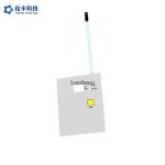 Autotype EBG180 PET Flat Membrane Switch 2.54mm Pitch Tactile Prototype for sale