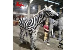 China Manual Control Realistic Animatronic Zebra Customized Available supplier
