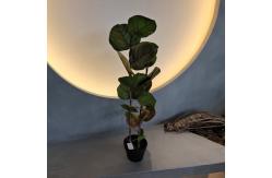 China 100cm Artificial Coccoloba Tree UV Resistant supplier