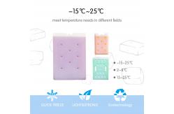 China Phase Change Material PCM Pack With Different Temperature Range PCM Ice Pack supplier