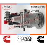 Cummins M11 ISM11 Engine Parts Injection Fuel Pump 3095502 3895537 3892658