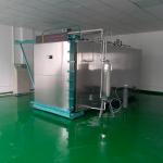 Iso9001 Certificates Sus304 Stainless Steel Eo Gas Sterilizer for sale