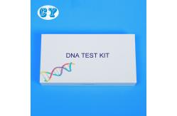China HCY DNA Test Kit Personal Gene Analysis Collection For Paternity Testing supplier