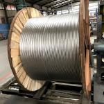 Aluminum Alloy Cable 34.4mm2 54.6mm2 70mm2 AAC AAAC ACSR Aluminium Conductor Overhead Bare Conductor Customized for sale