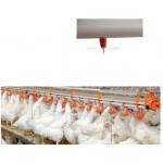 220V 50Hz Poultry Float Nipple Drinker For Broiler Chicken Red