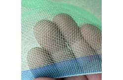China Garden And Farm Plastic Window Screen With HDPE Material supplier