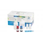 Kit For Human Spermatozoan Nucleoprotein maturity test for sale