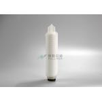Hydrophobic Membrane Pharmaceutical Filters 10 PVDF Pleated 0.1um 0.22um 0.45um for sale