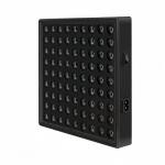 LED Full Spectrum Plant Grow Light 50w 80W Red Blue Light for Green House for sale