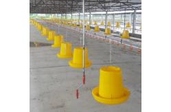 China 20kg Hopper Plastic Poultry Feeder Automatic Chicken Feeding System supplier