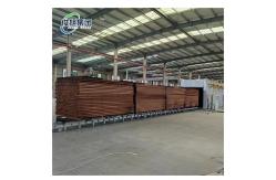 China Wood High Temperature Deep Vacuum Modification Kiln Improves Wood Performance And Quality supplier