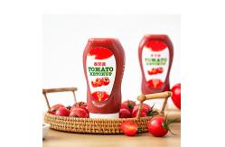 China 450g Tomato Sauce Ketchup hot chocalate jam Plastic Seasoning Bottles Ketchen Squeeze bottle supplier