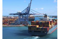 China 20FT 40FT International Sea Freight Forwarding , DDP Shipping From China To Pakistan supplier