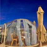 Fire Retardant Plastic Bubble Tent Polycarbonate Clear Outdoor Bubble Tent for sale