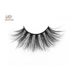 Natural Black 100% Handmade 0.06 5D Hybrid Lashes for sale