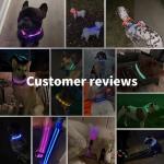 LED Dog Collar Waterproof Flashing Light Up Night Walking Adjustable USB Rechargeable
