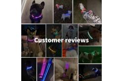 China LED Dog Collar Waterproof Flashing Light Up Night Walking Adjustable USB Rechargeable supplier