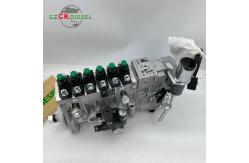 China Fuel Injection Pump T73208219 for 1006TG3 1006TG Excavator supplier