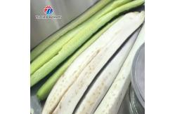 China Commercial Automatic Eggplant Cabbage Melon and Fruit Splitting Machine Food Processor supplier