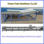 apple grading machine, Fruit Cleaning and Grading Production Line, peach weight sizer for sale