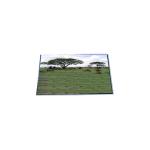 P495IVN03.0 49.5 inch 1920*540 LCD display panel for Stretched Bar LCD for sale