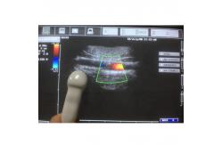 China  CA123 Convex Array Ultrasound Scan Probe for MyLab 25 Series supplier