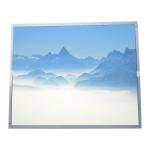 EV190E0M-N50 19.0 Inch 60Hz 1280(LCR)*1024 Resolution 30 Pins LCD Display for Medical Imaging for sale