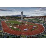 Sound Reduction Eco Sports Flooring Full Pu 400 Meter Running Track for sale