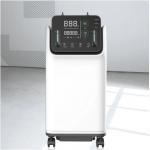 Portable Dual Flow 10L Oxygen Concentrator systems With Nebulizer for sale