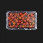 No Leakage Disposable Plastic Boxes for sale