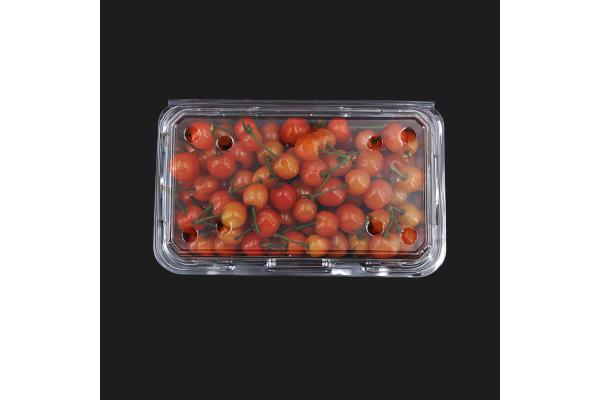 No Leakage Disposable Plastic Boxes