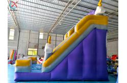 China Supplier Commercial Cloud Lightning Inflatable Slide Inflatable Dry Slides Castle supplier