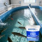 Indoor Waterproof Aquaculture Paint Boat Paint Koi Pond Painting