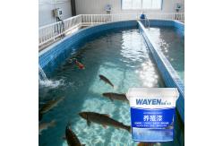 China Indoor Waterproof Aquaculture Paint Boat Paint Koi Pond Painting supplier