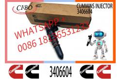China PT Injector 3095773 3406604 3016676 3411821 3064881 3054218 3018566 supplier