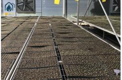 China Agriculture Metal Mesh Nursery Rolling Benches Movable Greenhouse Cultivation Bench supplier